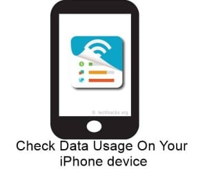 Check Data Usage On Your iPhone device