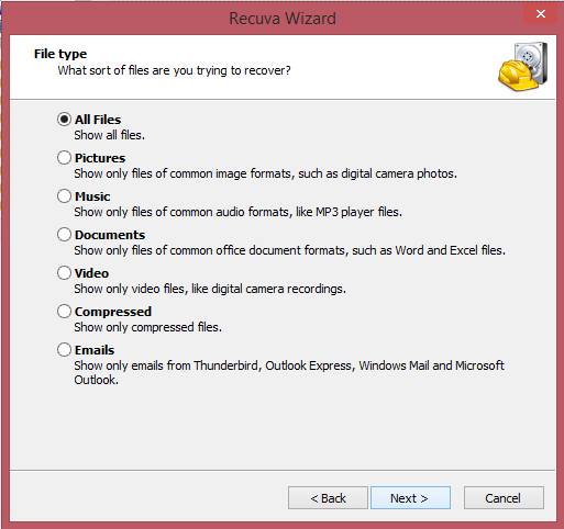 Select the file types you want to recover