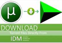 How to Download Torrent Files Using IDM With Maximum Speed