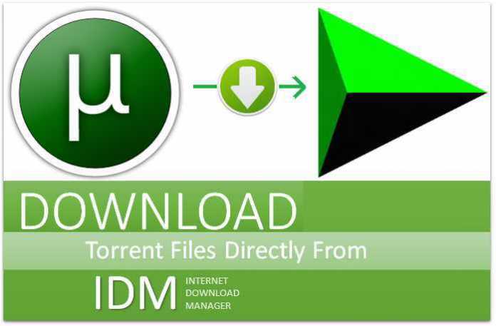 Hur man laddar ner Torrent-filer med IDM