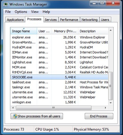 Disabling Suspicious Services In Task Manager