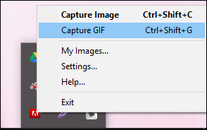 Select 'Capture GIF'
