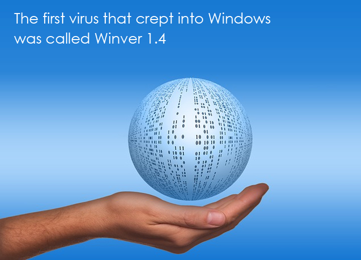 WinVer is the first virus