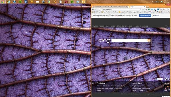 Set Bing Images as Desktop Wallpaper on Windows 10