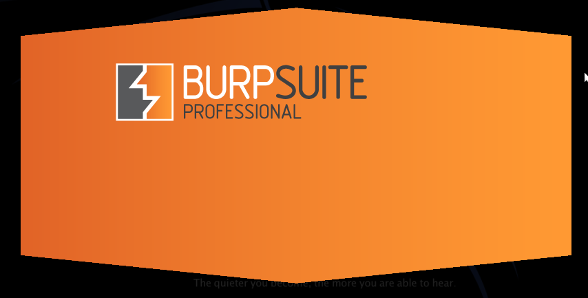 burp suite pro github