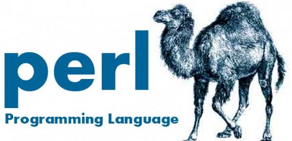 perl programming language