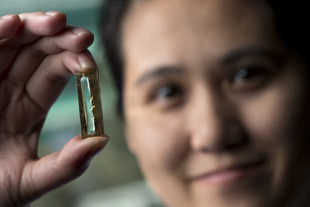 Scientists Accidently Develop Batteries That Last A Lifetime