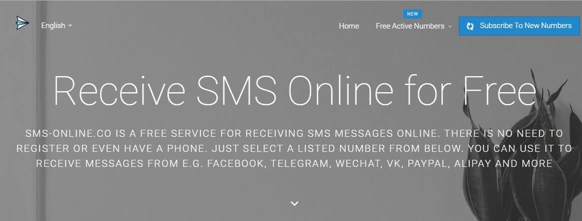 SMS ONLINE CO