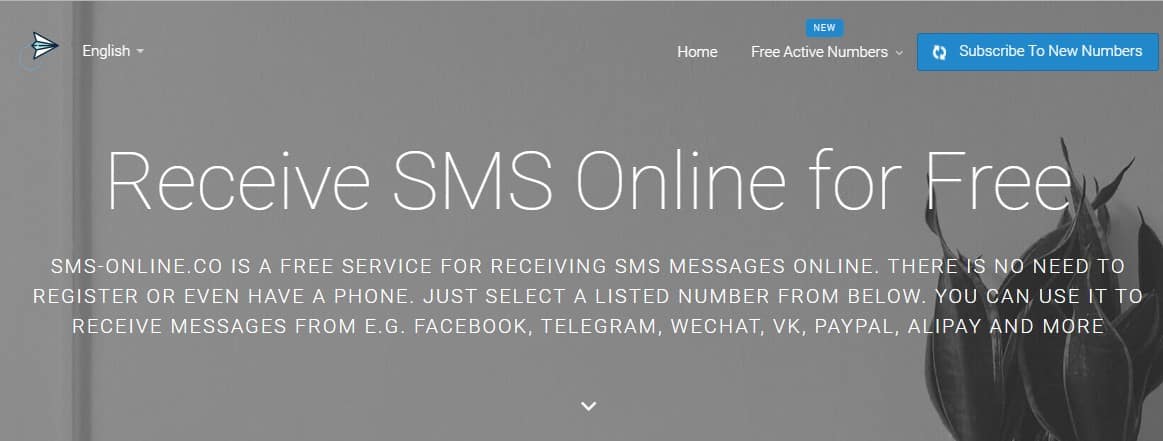 How to Bypass Phone SMS Verification on any Website Service - 46