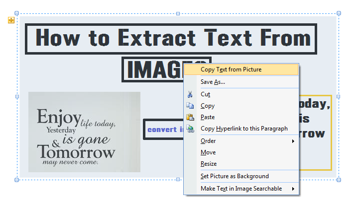 Select "Copy Text from Picture"