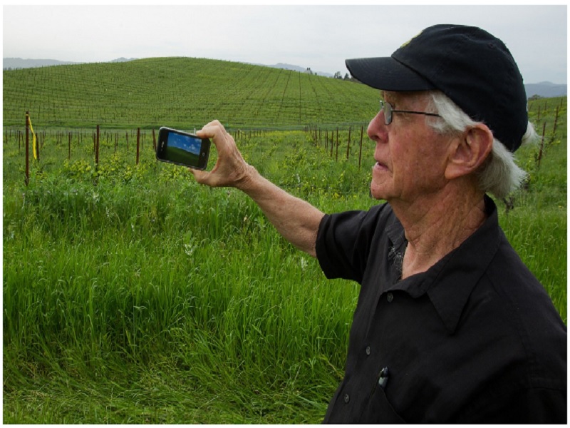 The Story behind the Famous Windows XP Desktop Background