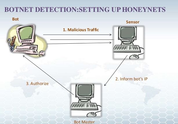 How to Detect the Botnet