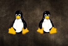 How to Run Multiple Distros Using Linux Containers