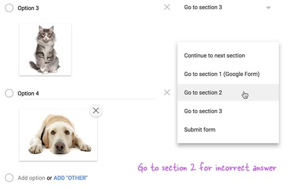 How to Add a Picture Password to your Google Forms - 55