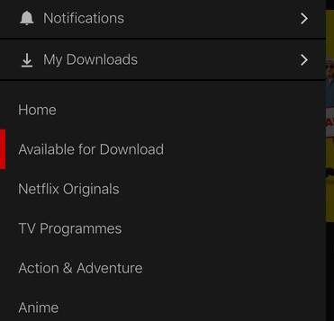 Netflix offline viewing