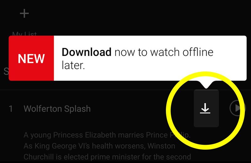 Offline sledování Netflixu