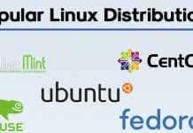 10 Best Most Popular Linux Distributions in 2021