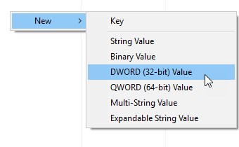 DWORD (32-bit) Value