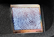 OLED Microdisplays Could Pave Way For Next-Gen Fingerprint Scanners