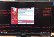 Here's How A Security Researcher Accidentally Stopped WanaCrypt0r Ransomware
