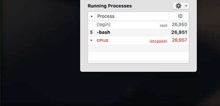 Use the MAC Terminal s Hidden Task Manager to See Processes - 33
