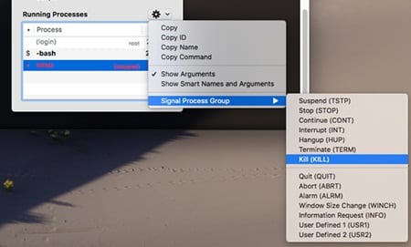 Use the MAC Terminal s Hidden Task Manager to See Processes - 36