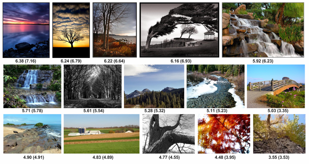 Google s AI Can Predict Whether You Will Like An Image Or Not  - 12