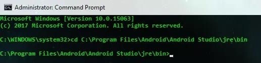 Permanently Stop Updates to Specific Android Apps