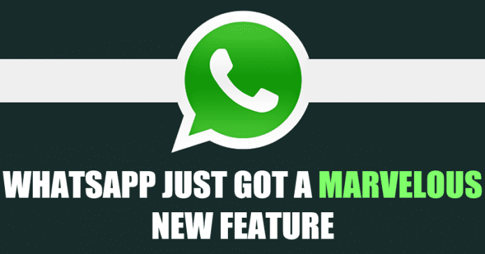 WhatsApp's New Update Brings An Excellent New Feature!