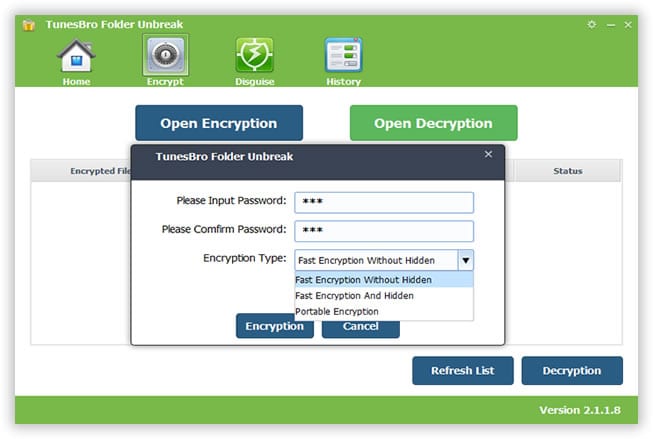 Enter the password to encrypt the drive and click on 'Encryption'