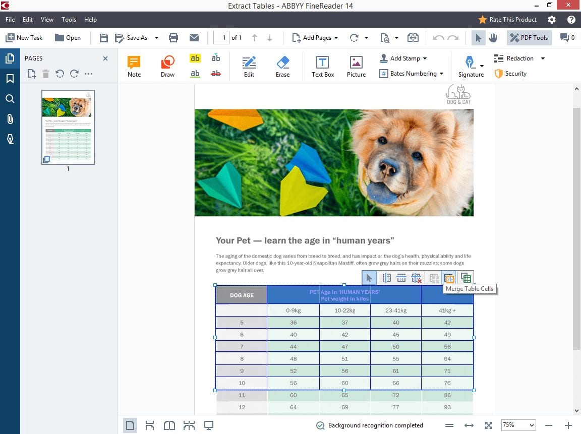 10 Best Free OCR Software For Windows 10 in 2022 - 8