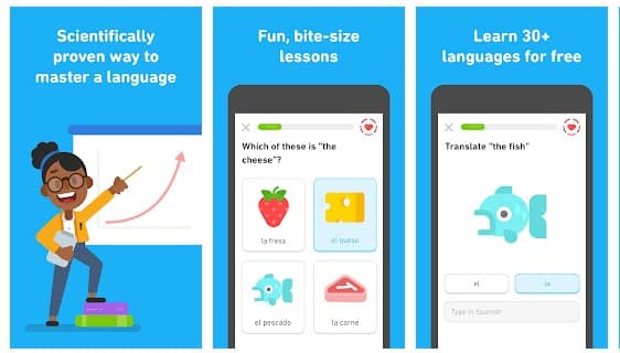 Language Learning Apps Android