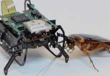 Rolls-Royce Is Developing Tiny 'Cockroach' Robots