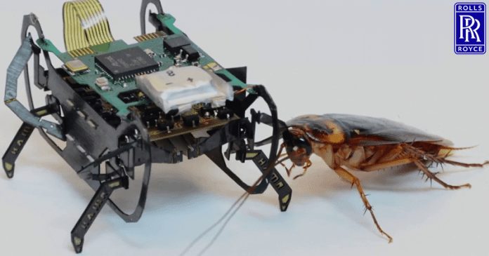 Rolls-Royce Is Developing Tiny 'Cockroach' Robots