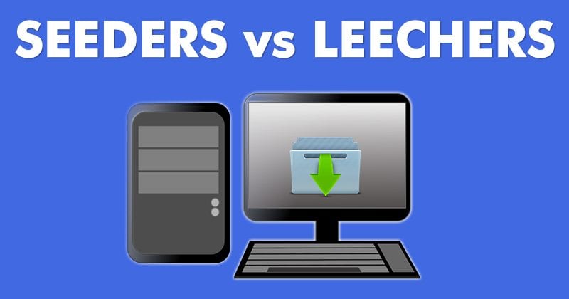 Seeders vs Leechers: What Are Seeders And Leechers?