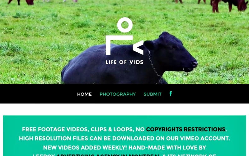 13 Best Free Stock Video Sites in 2023 - 81