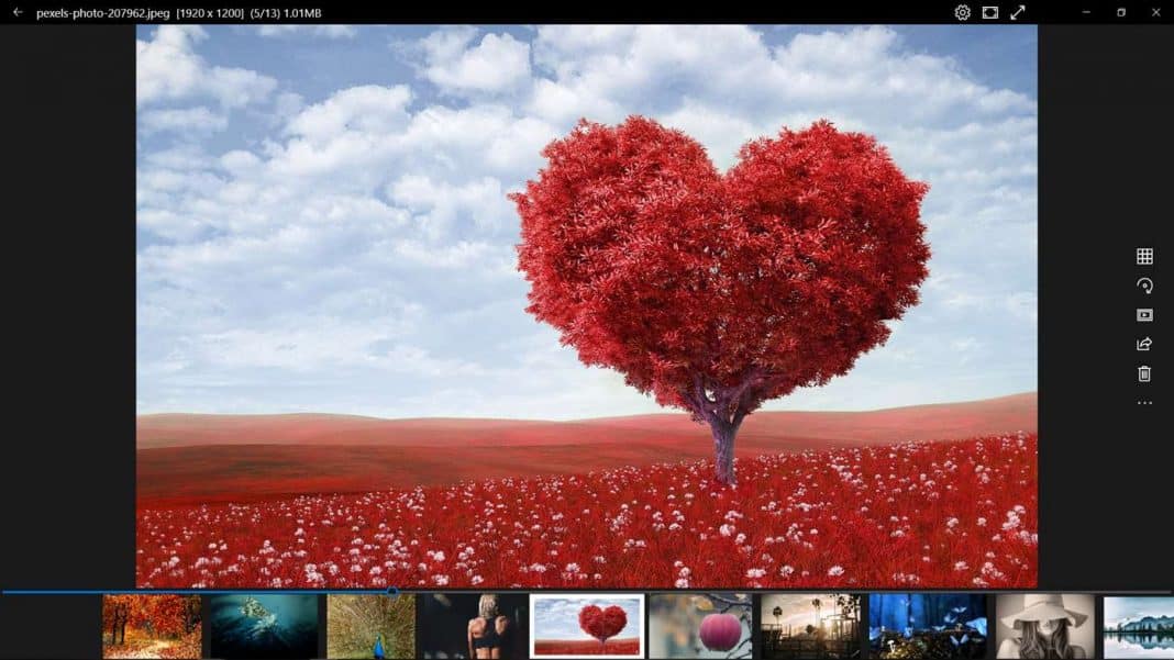 Aplikasi Alternatif 'Photo Viewer' Terbaik Windows