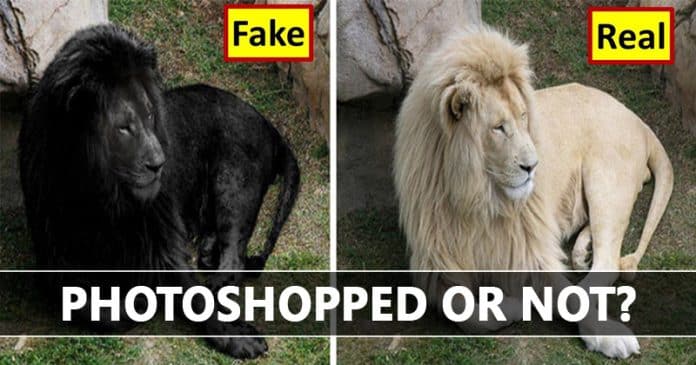 How To Tell If An Image Has Been Photoshopped