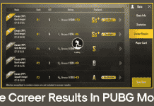 How To Hide Your Career Results In PUBG Mobile