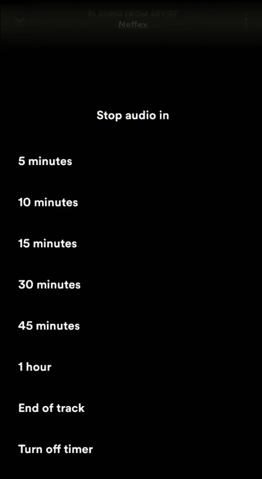 stop audio in
