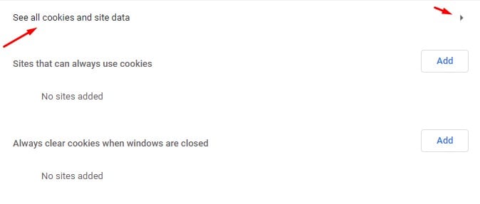 Haga clic en la opción' Ver todas las cookies y datos del sitio ' 
