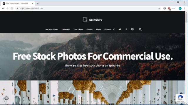 10 Best Shutterstock Alternatives To Get Free Stock Images - 89