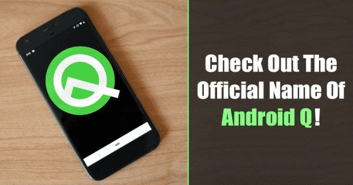 Android Q Gets an Official Name and It's not a Dessert This Time!