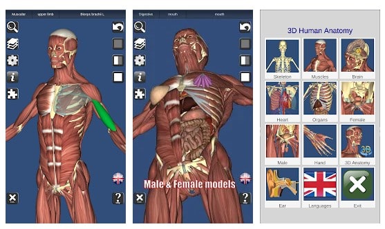 Human Anatomy Apps