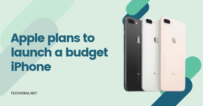 budget iPhone