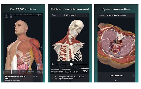 Android için Anatomi 19'u tamamlayın