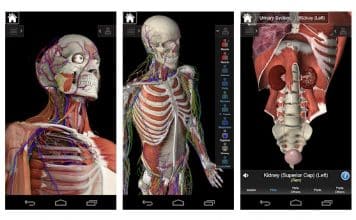 essential anatomy 3d 4 medical