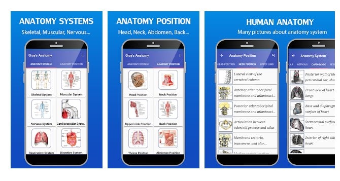 Aplicativos de anatomia humana