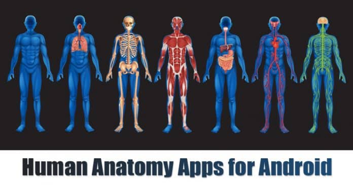 10 Best Human Anatomy Apps for Android in 2020