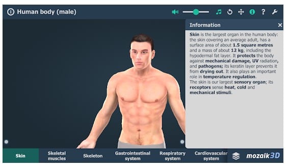 Cơ thể con người (Nam) Giáo dục VR 3D 1